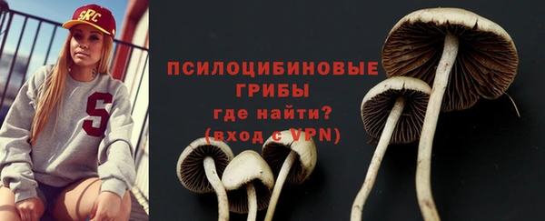 крисы Гусиноозёрск
