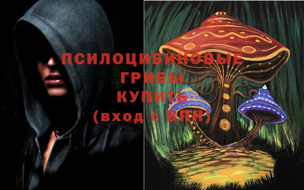 таблы Гусь-Хрустальный