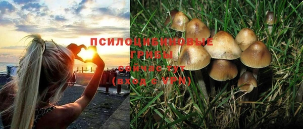 таблы Гусь-Хрустальный
