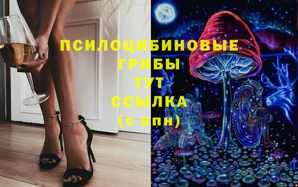 крисы Гусиноозёрск