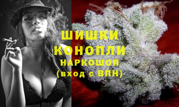 крисы Гусиноозёрск